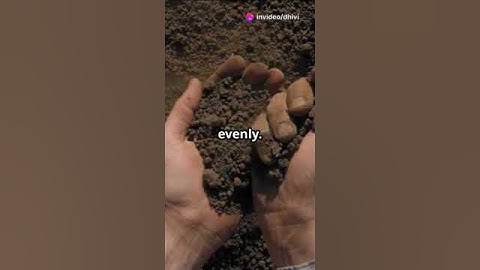 Soil Thickness Modifies the Nitrogen Sufficiency Index in Barley and Wheat #soil #researchers #farm