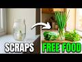 10 Kitchen Scraps You Must NEVER Throw Away (Regrows into Free Food)