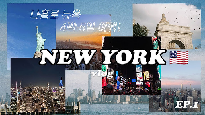 eng)🇺🇸vlog: 나홀로 4박 5일 뉴욕 여행 ep.1✈️| 드디어 뉴욕 입성!! 위치빼고 다 별로였던 호스텔..자유의 여신상🗽본점에서 쉑쉑버거🍔엠파이어 스테이트 빌딩 야경✨