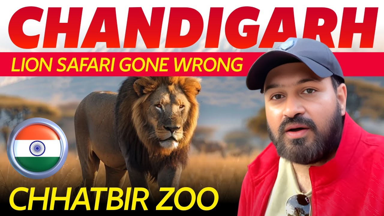 Chhatbir Zoo in Chandigarh | BEST Zoo in India for LION SAFARI? | Chhat Bir