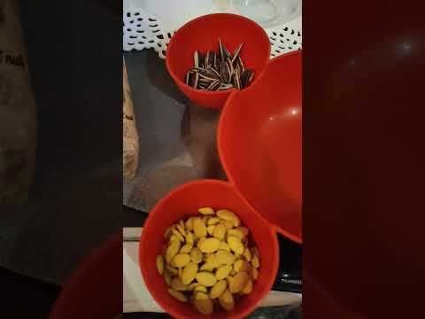 احلي تسالي مقلة صلاح الدين