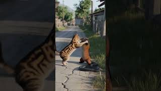 kucing vs garangan, #cat #kucing #animals #catlover #kucinglucu #snake #ularkasur #wildlife #ai