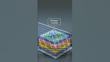 Boosting Perovskite Solar Cell Efficiency: New Polymer Layer Reaches 26.39%