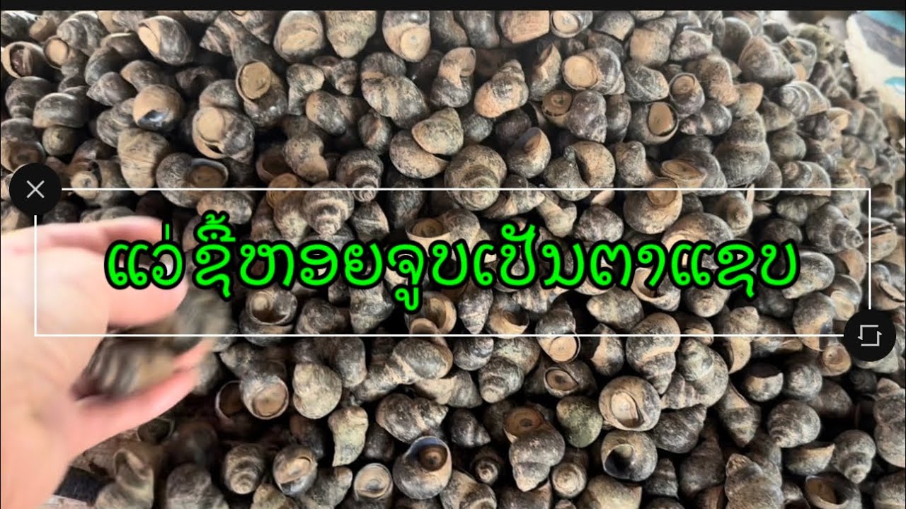 ກຳລັງເດີນທາງເມືອສະຫວັນ