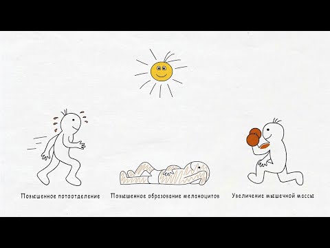 О болезни по-другому - Значимые Специальные Биологические Программы (Часть 3)