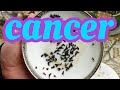 CANCER: LIKE PROPHECY!✨Powerful Reading! ✨THIS GOES DEEP!// ASMR tea leaf reading horoscope