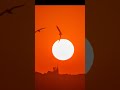 بيقولوا الزكريات بيقولوا الزكريات