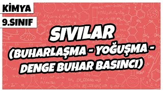 9 Sınıf Kimya - Sıvılar Buharlaşma - Yoğuşma - Denge Buhar Basıncı 2022