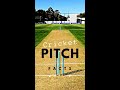 Direction of a Cricket Pitch!! CRICKET FACTS #shorts