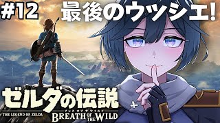 ゼルダの伝説 ブレワイ│本当に最後のウツシエ探し。 #12【綺沙良/にじさんじ】