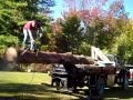 Adam cuttin a log into firewood