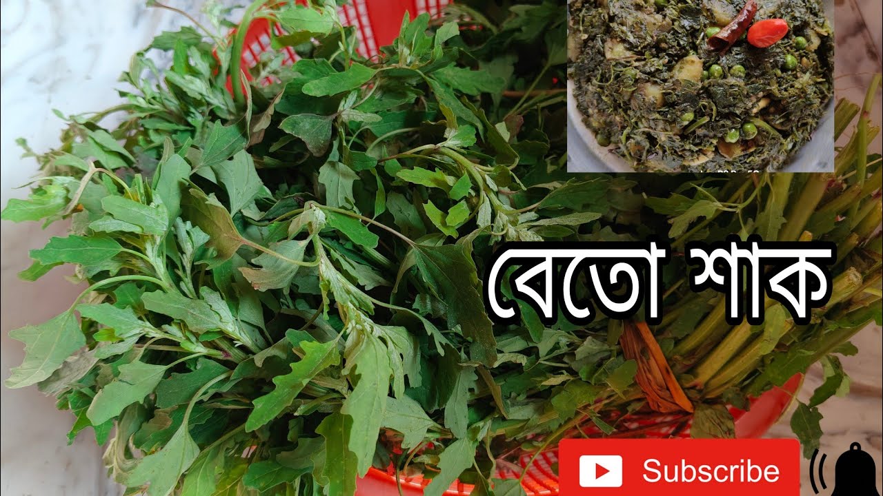      বেতোশাক তরকারি |  Betho Shak Recipe | How to make Betho Shak Recipe | In Bengali Recipe 