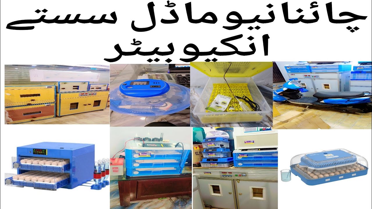 Top Features of the New Parrot Egg Incubator & Brooder Model - YouTube