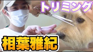 【トリミング】撮影の合間にハサミの使い方を教わる相葉くん【未公開映像】