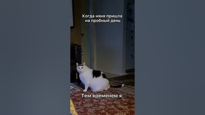А вы подглядываете за няней?😂  #няня #мама #ищуняню #кот #мем #котмяукает #шутка #мамавдекрете