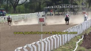 El Maestre, Progreso (04-09-16)
