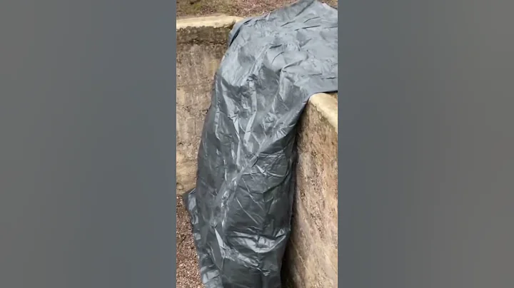 ✨meet the world militaries!✨