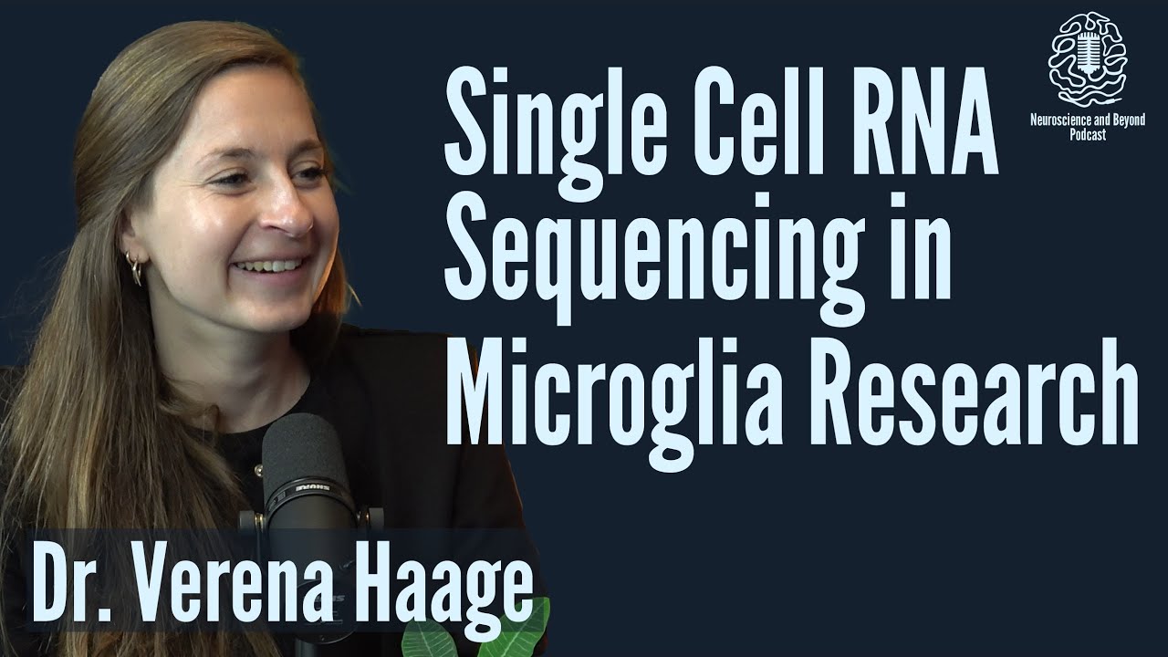 Importance of Single Cell RNA Sequencing in Microglia Research