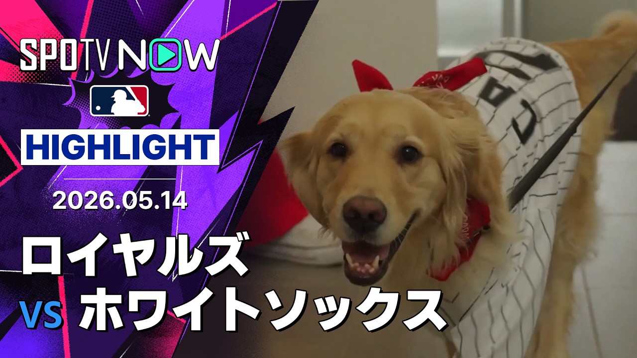 おすすめシーン