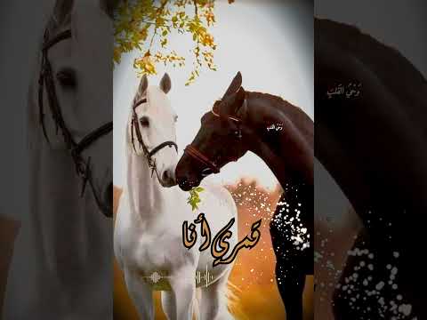 قمري أنا حالات واتس إسلامية حالات واتس اناشيد دينيه 