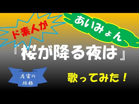 〈20〉『桜が降る夜は』-あいみょん【ド素人が歌ってみた】
