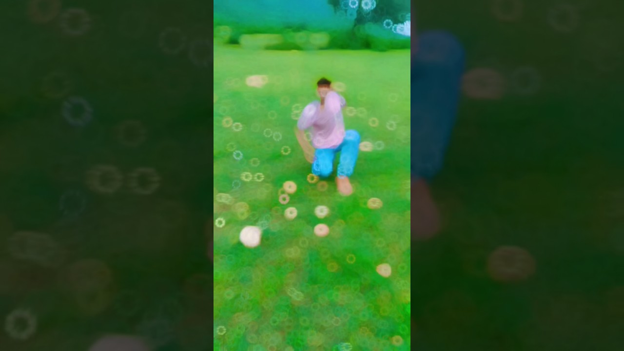 gowlan karaka 🥰😞...............          .............