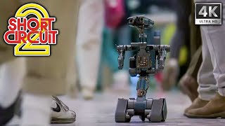 Short Circuit 2: Rogue Robot [1/7] by TheBaconWagoneer 19 views 4 weeks ago 3 minutes, 46 seconds