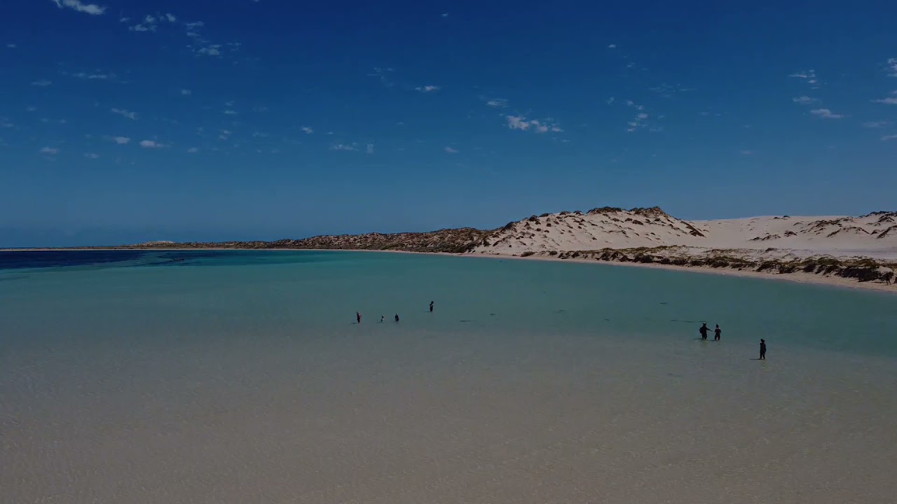Shark Sanctuary At Coral Bay