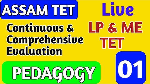 Continuous and Comprehensive Evaluation | CDP Class CCE | Assam TET CDP Class Live