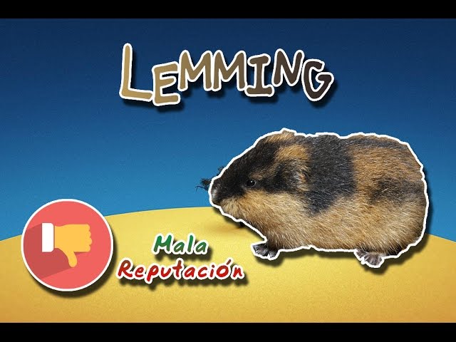 Grandes documentales - Lemming, el pequeño gigante del norte 