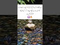 #shorts #youtubeshorts #allahuakbar #urdu #islam #quran #quotes #video #facts