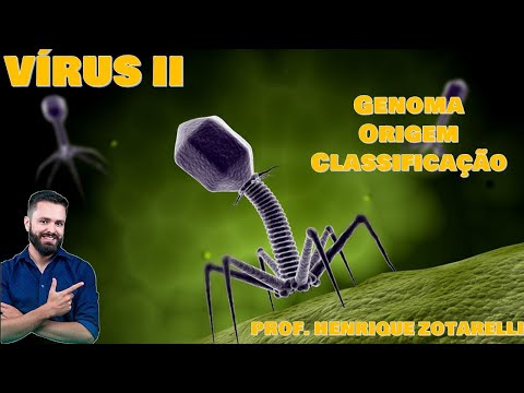 Virus II - Genoma, Origem e Classificação