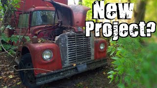 New Project Truck? 1965 International Loadstar