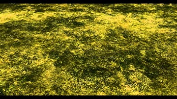 ZeroOne Grass Shader Experiment Phase 2 Part 3 - Wind