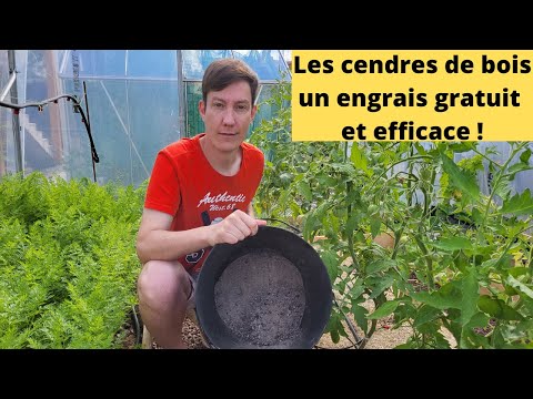 Vidéo: Engrais pour cendres de bois - Dois-je mettre des cendres dans mon jardin