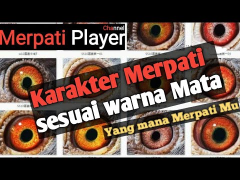 Video: Cara Menentukan Karakter Berdasarkan Warna Mata