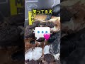 一生食べるチョコレートを選んでね 🍫🤤