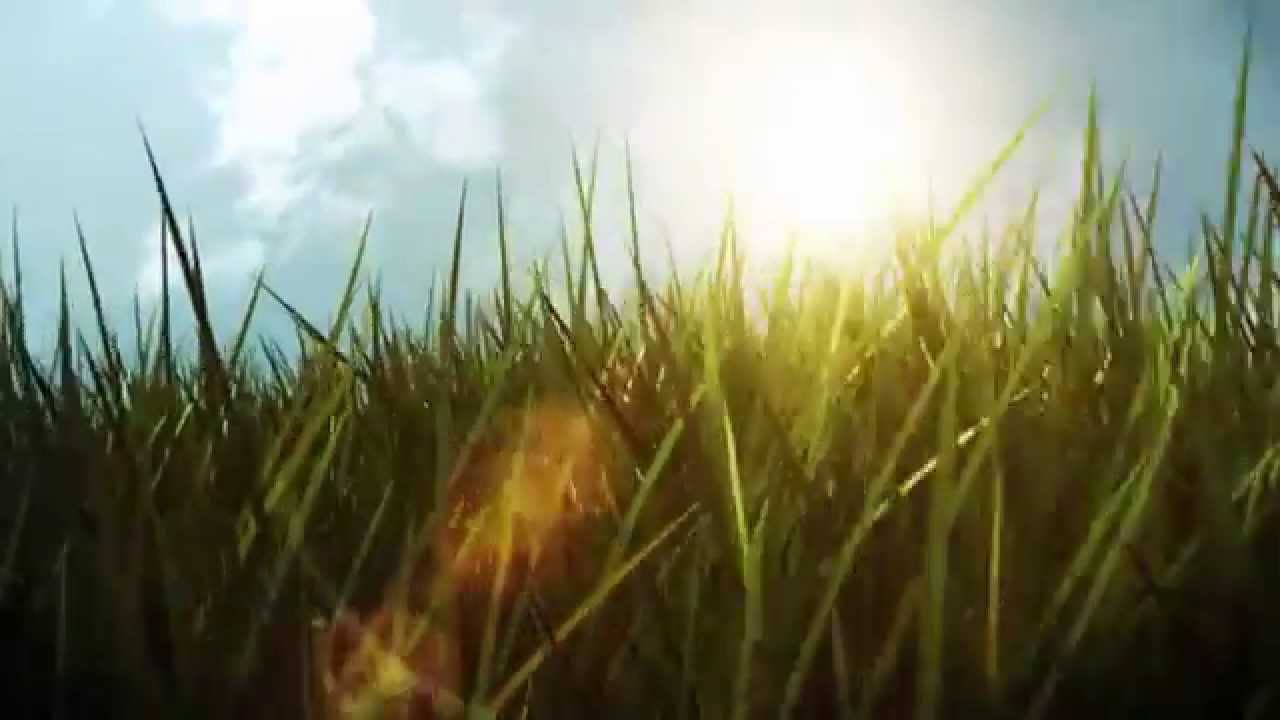 Liquid Light | Sunwarrior