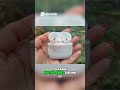 AirPods 4 vs Pro 2  Best Deal + H2 Chip Details!
