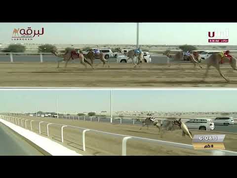 ش10 الزبارة لـ محمد عبدالله ناصر الحفيظ المري المحلي السابع 31 1 2025ص ثنايا بكار مفتوح 12 44 84 