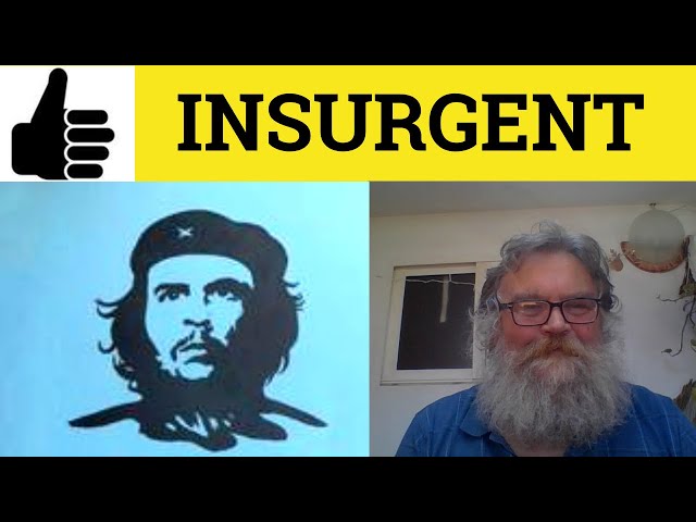 Insurgent - Insurgency Meaning - Insurgent Examples - Insurgency Definition  - Youtube