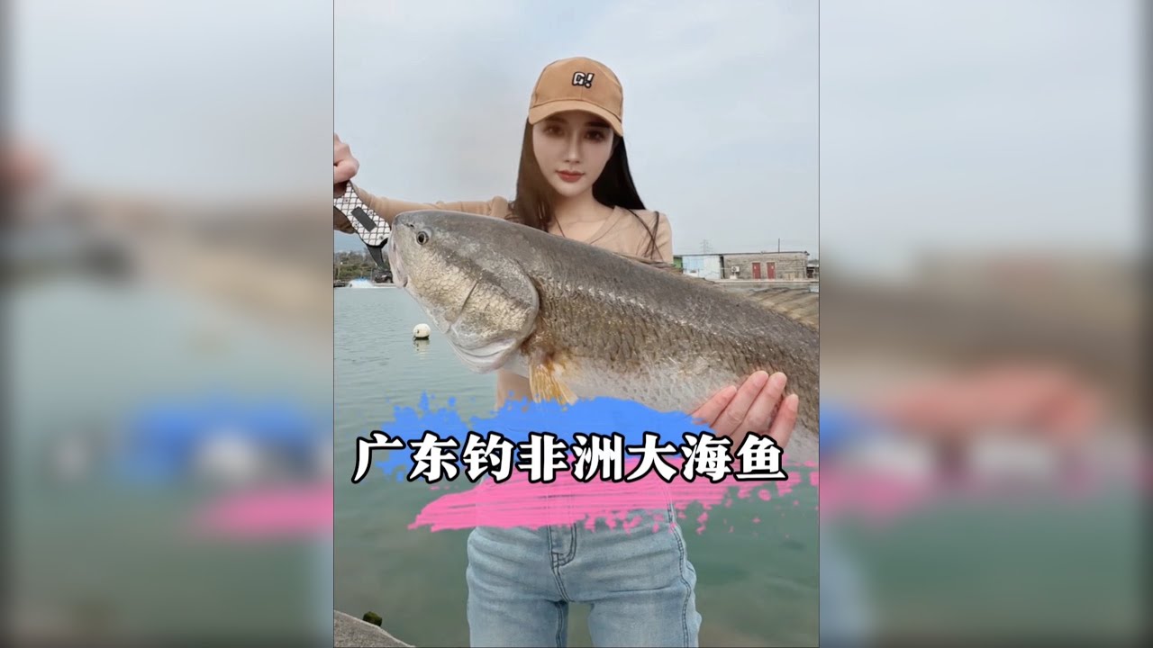 广东海钓场钓非洲龙骨鱼，有没有龙骨鱼我不知道，但是非洲有没有海你们说。