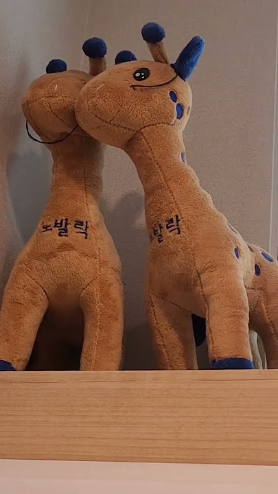인형 #일상 #여름 #다육맘