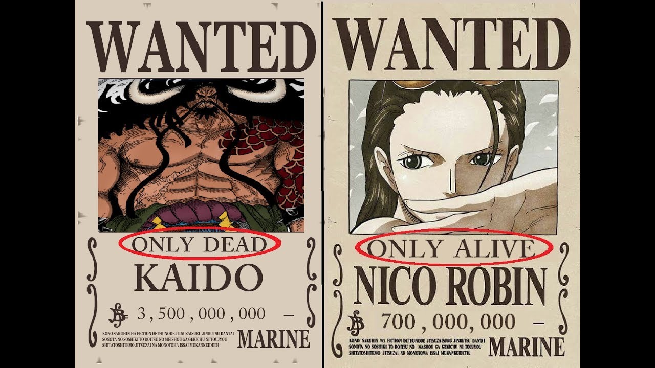 Robin And Kaido S Bounty Prediction One Piece Youtube