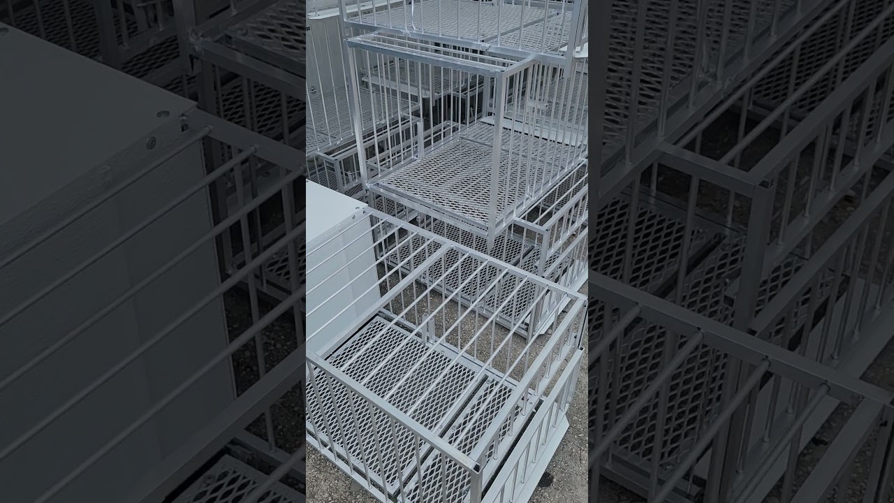 aquí en leotampapetshop tenemos visteros automatico disponibles los PIN PAN PUN los que no fallan ..