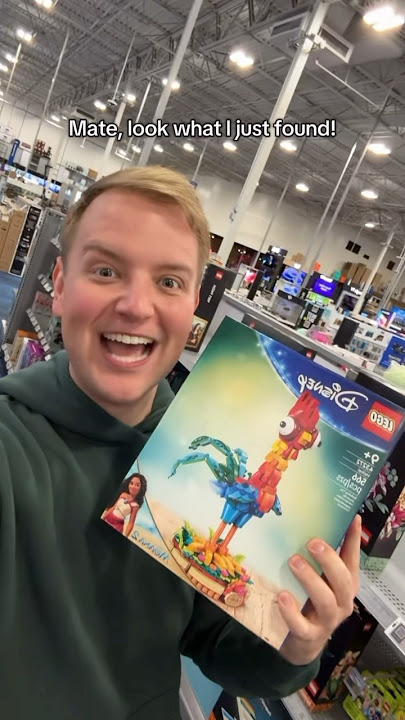 Disney Hei Hei Lego Set!