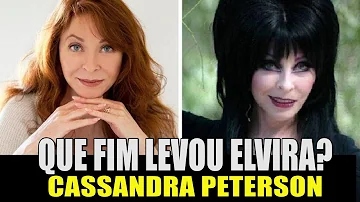 Quando foi lançado o filme Elvira a Rainha das Trevas?