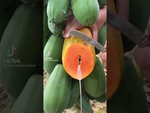اجا ضهر البنت
