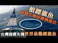 台灣即將失傳的鏢旗魚!!世界最難的鏢刺漁法?! 戰浪 EP.2 生死一線 |2019/11/12