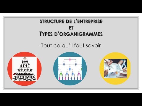 STRUCTURE ET ORGANIGRAMME DE L&rsquo;ENTREPRISE: tout ce qu&rsquo;il faut savoir